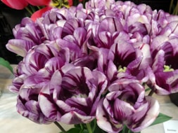 Twin-Flame-(2)